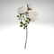 22" Artificial Cream Peony Spray - Floral Stem for Wreaths, Arrangements, & Decor -FS376037